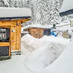 Basic Vuk * Vlasic