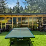 Basic Vuk Apartman *