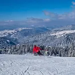 Basic Vuk