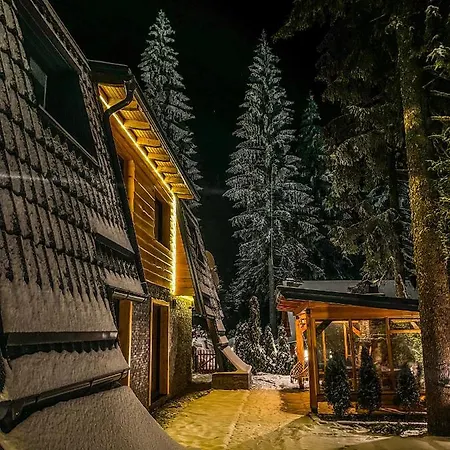 Basic Vuk Appartement