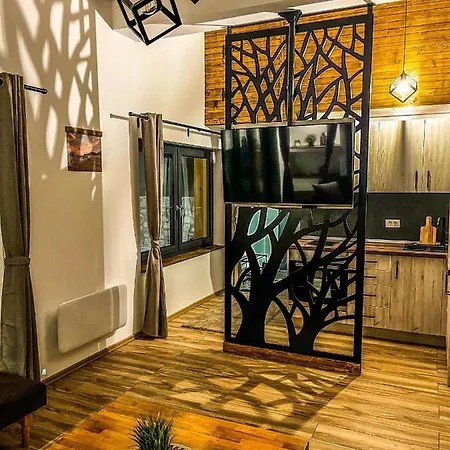 Basic Vuk Apartament *