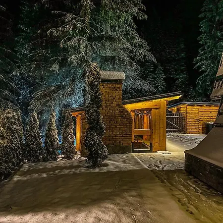 Basic Vuk * Vlašić