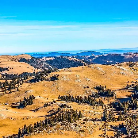 Basic Vuk * ヴラシチ