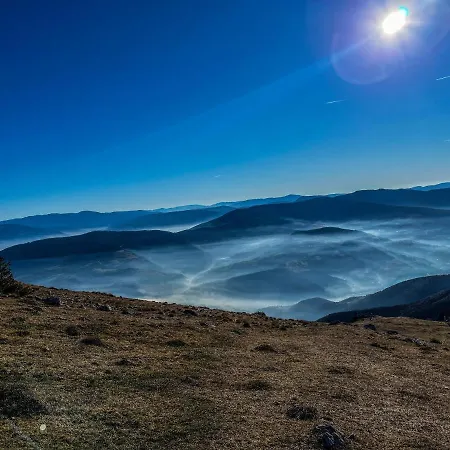 Basic Vuk * ヴラシチ