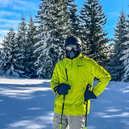 Basic Vuk Appartement