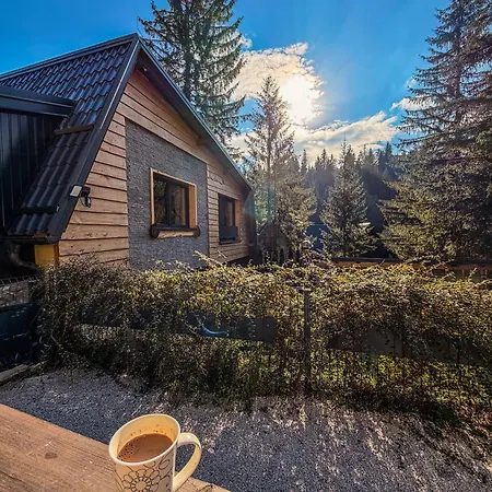 Apartament Basic Vuk *