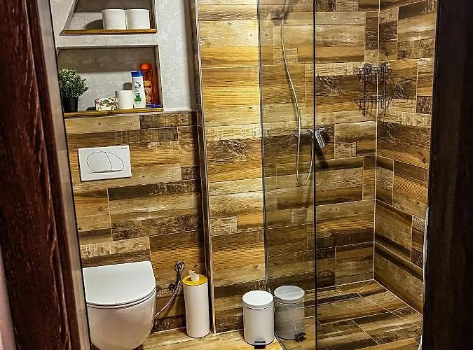 Basic Vuk Apartament