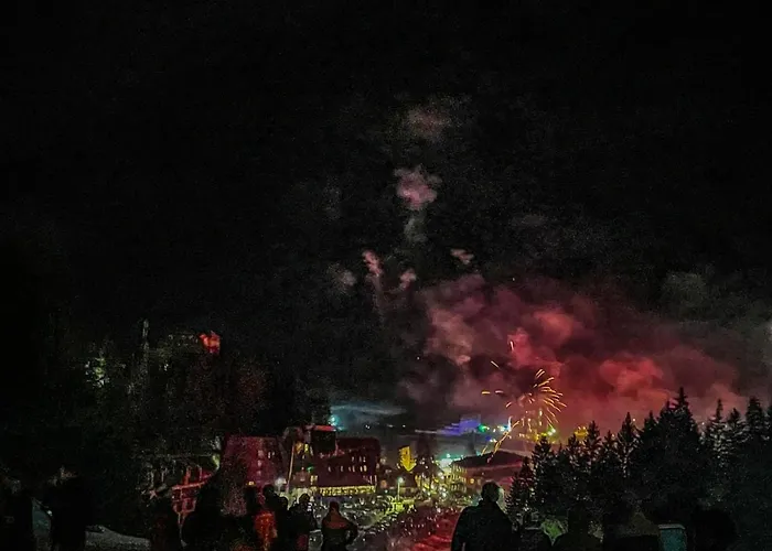 Basic Vuk Apartament Vlašić