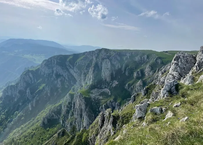 Basic Vuk Apartament *