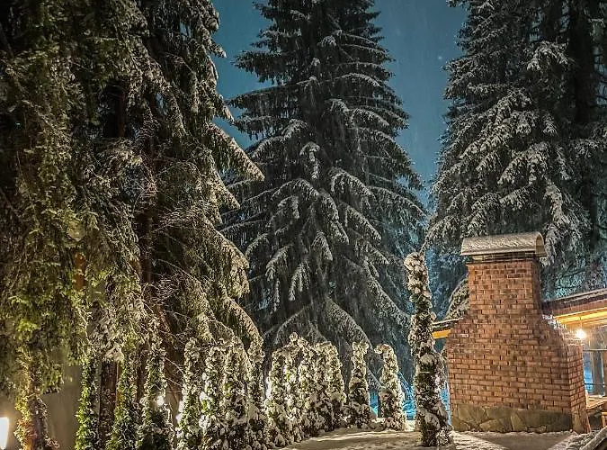 Basic Vuk Apartament Vlašić