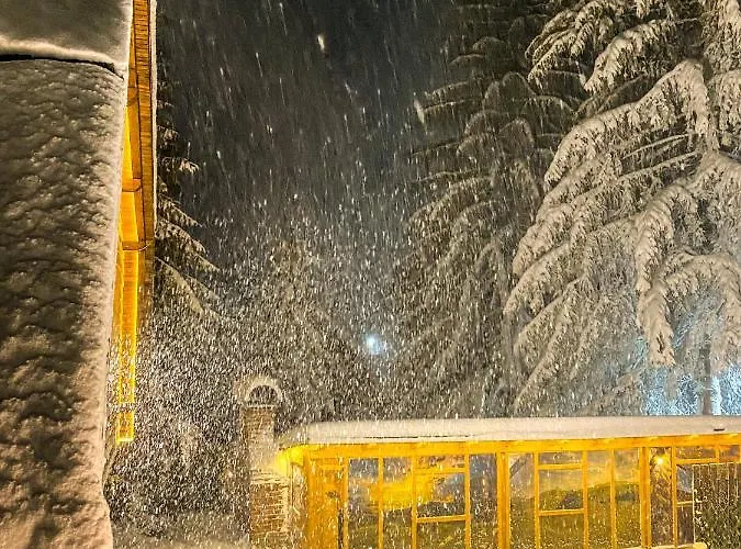 Basic Vuk Apartament