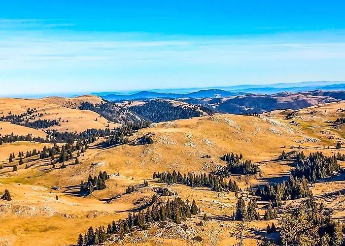 Basic Vuk * Vlašić