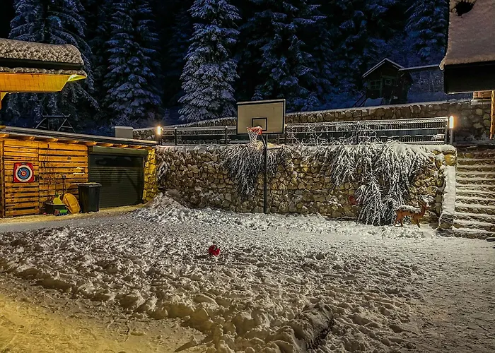 Apartament Basic Vuk *