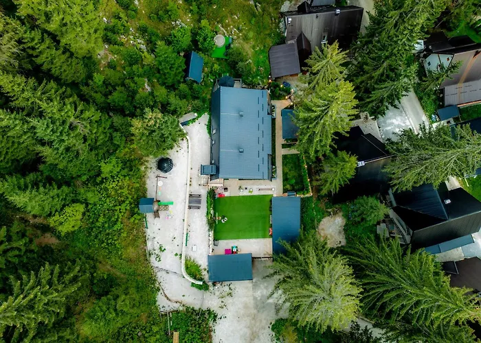 Apartament Basic Vuk