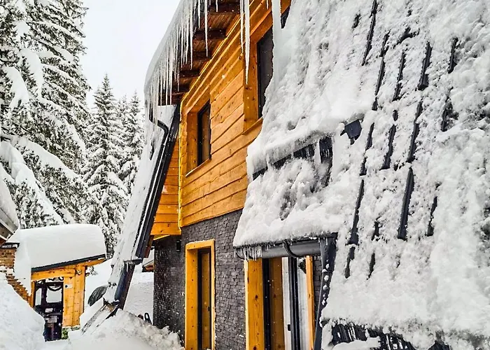 Basic Vuk Apartament *