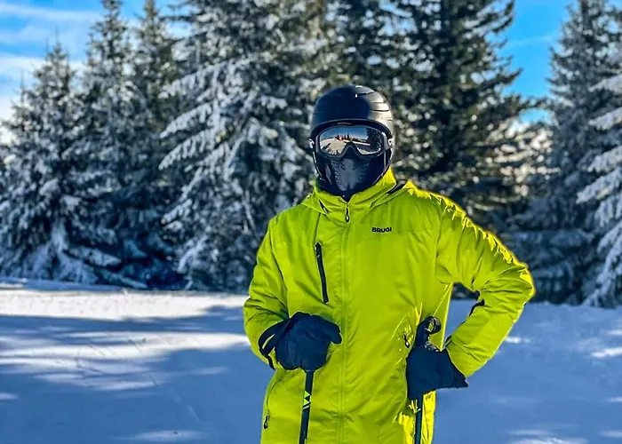 Basic Vuk Apartament