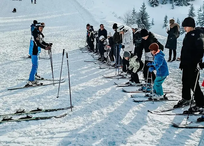 Basic Vuk Apartament